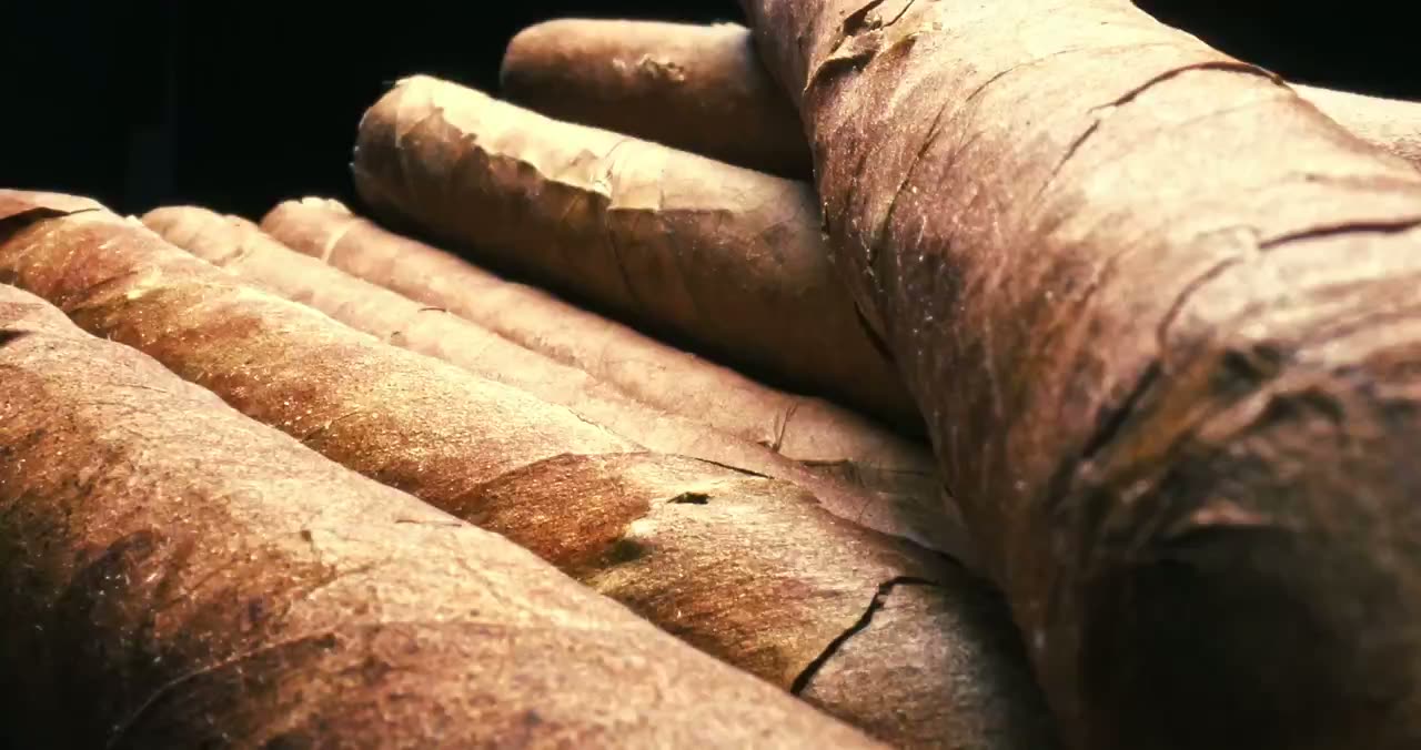 Cigarrer Ronneby — cigarrer i humidor hos Cigarrbolaget